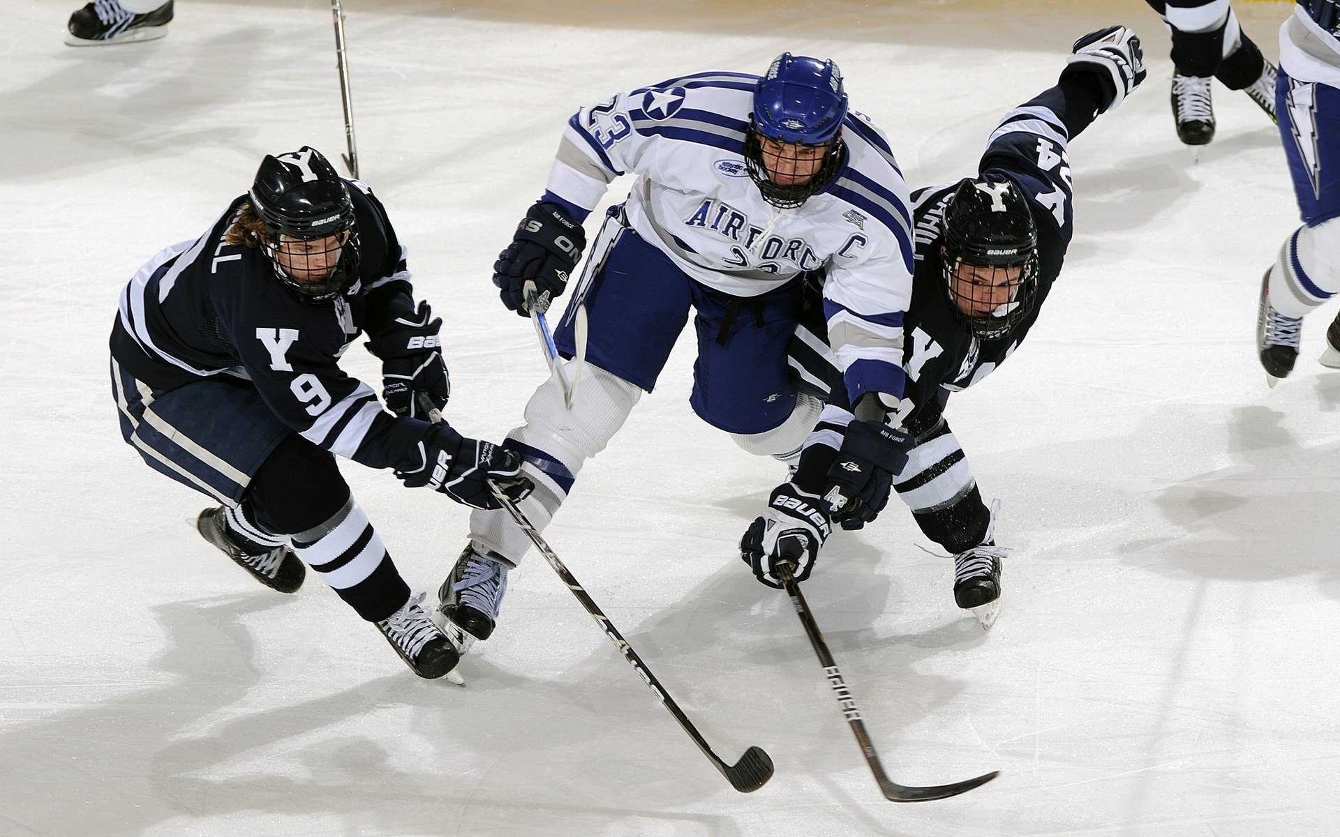 职业篮球裁判员培训课程改革，篮球裁判员培训班